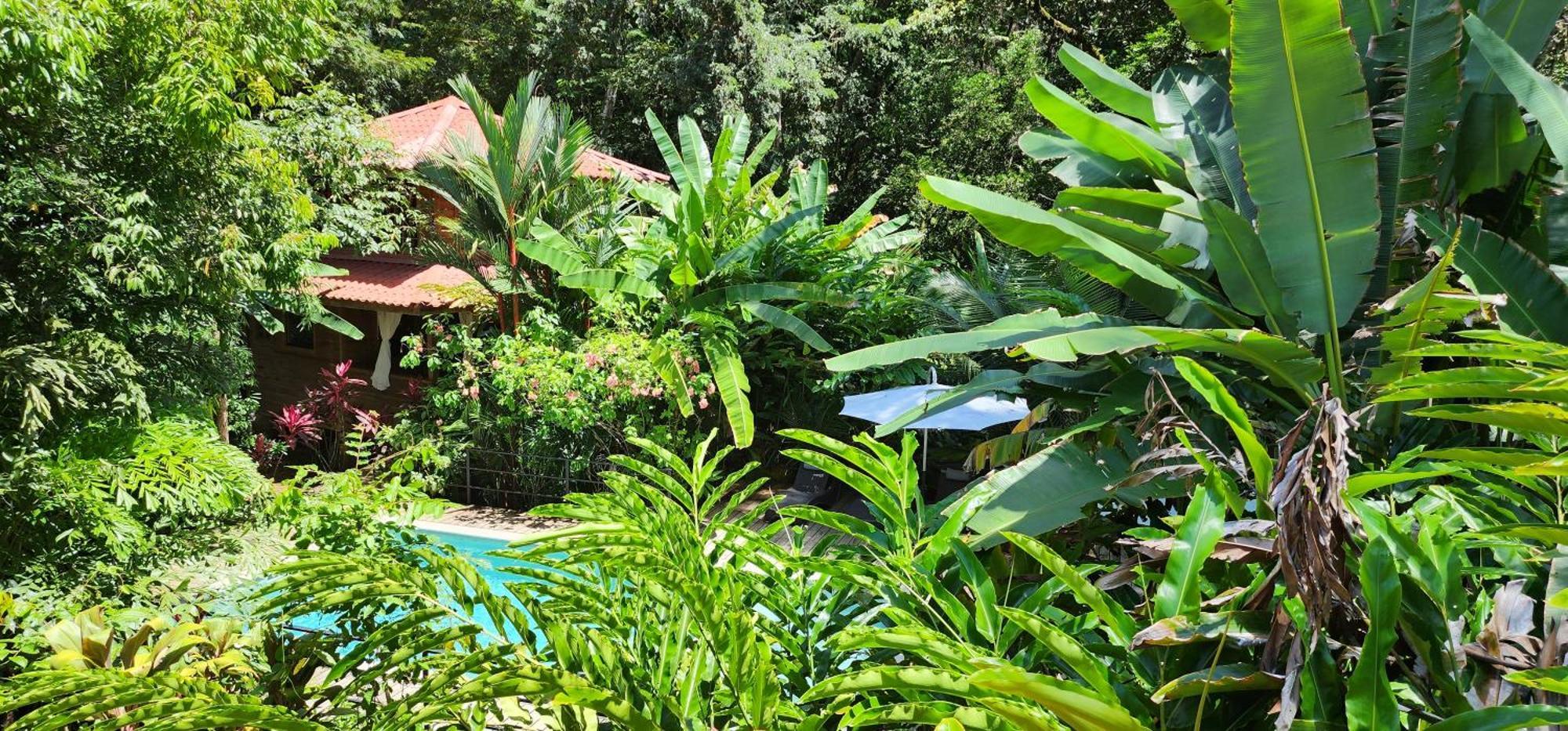 Boutique Hotel Y Spa Tangara Azul 奥霍查尔 外观 照片